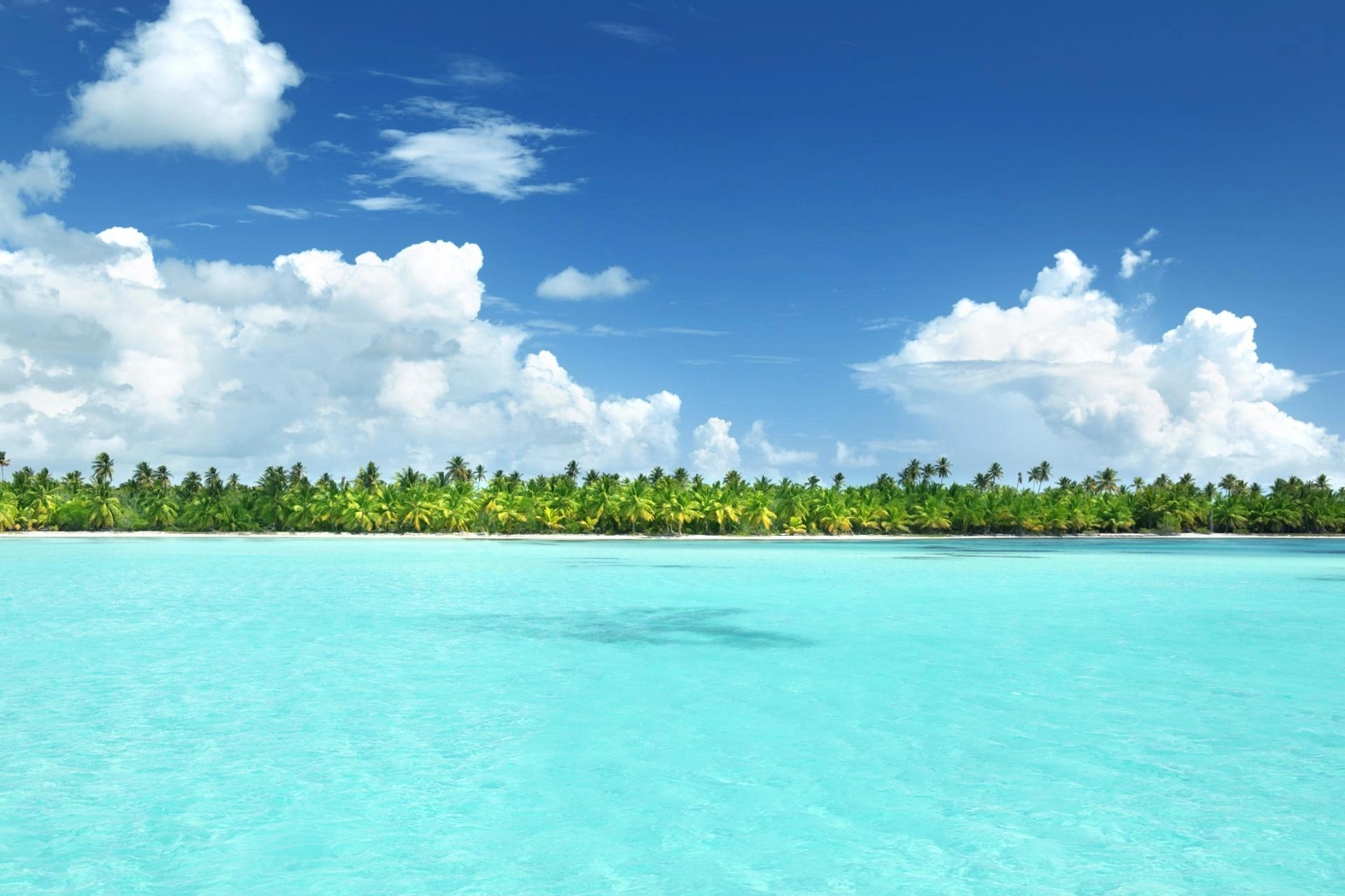 Mar azul-cristalino em Bayahibe, República Dominicana, com linha de palmeiras tropicais ao fundo e céu azul com nuvens brancas, refletindo o típico cenário caribenho.