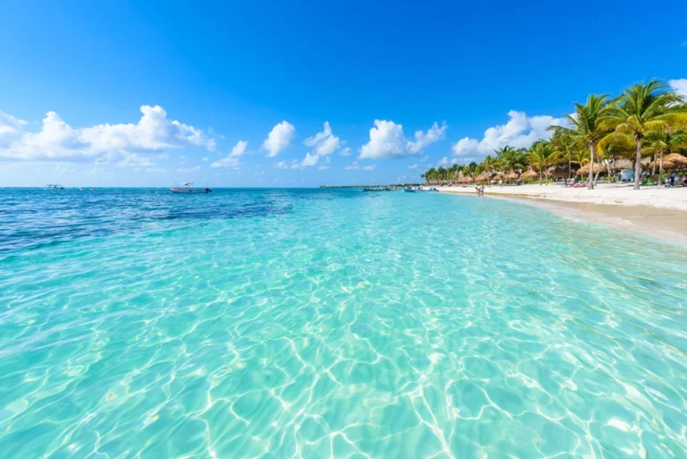 Água cristalina e azul-turquesa na Riviera Maya, com céu limpo, palmeiras e areia branca, mostrando o típico cenário tropical do Caribe mexicano.
