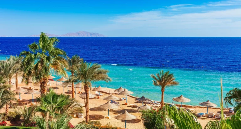 Vista panorâmica de uma praia em Sharm El Sheikh com palmeiras, areia dourada e mar azul-turquesa, típica do Mar Vermelho, num dia ensolarado.