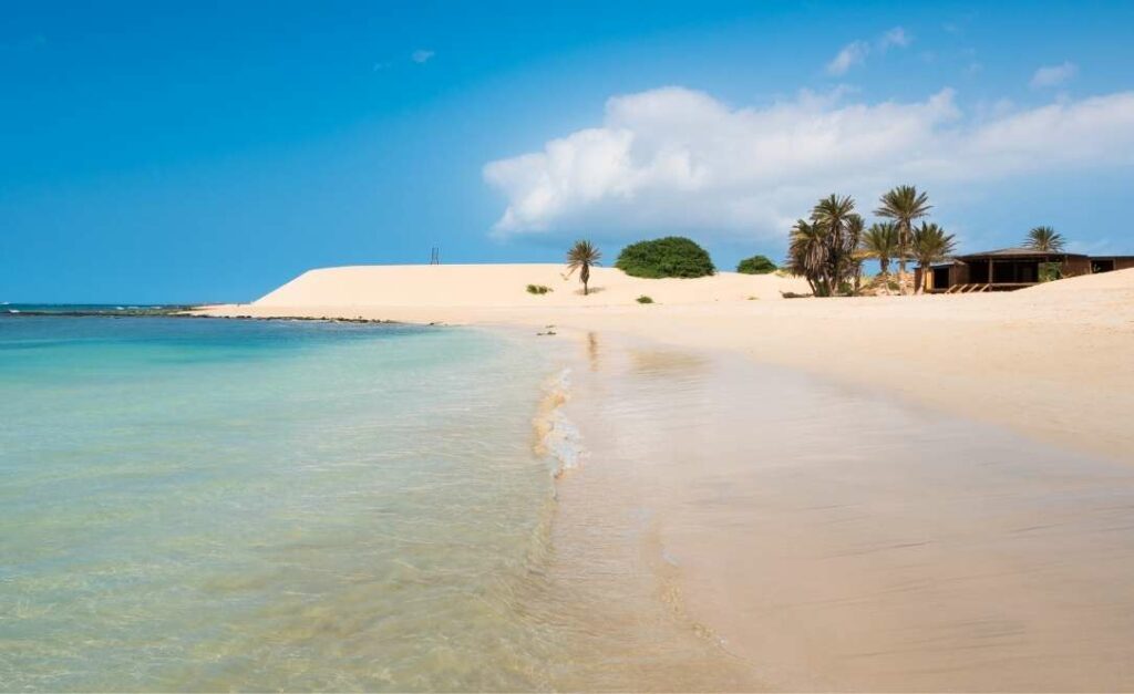 Praia tranquila da Boavista com dunas de areia dourada, mar turquesa e algumas palmeiras perto da costa.