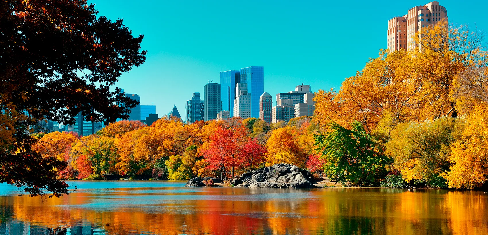 Paisagem de Central Park no outono, com árvores em tons de amarelo e vermelho junto ao lago e os arranha-céus de Manhattan ao fundo.