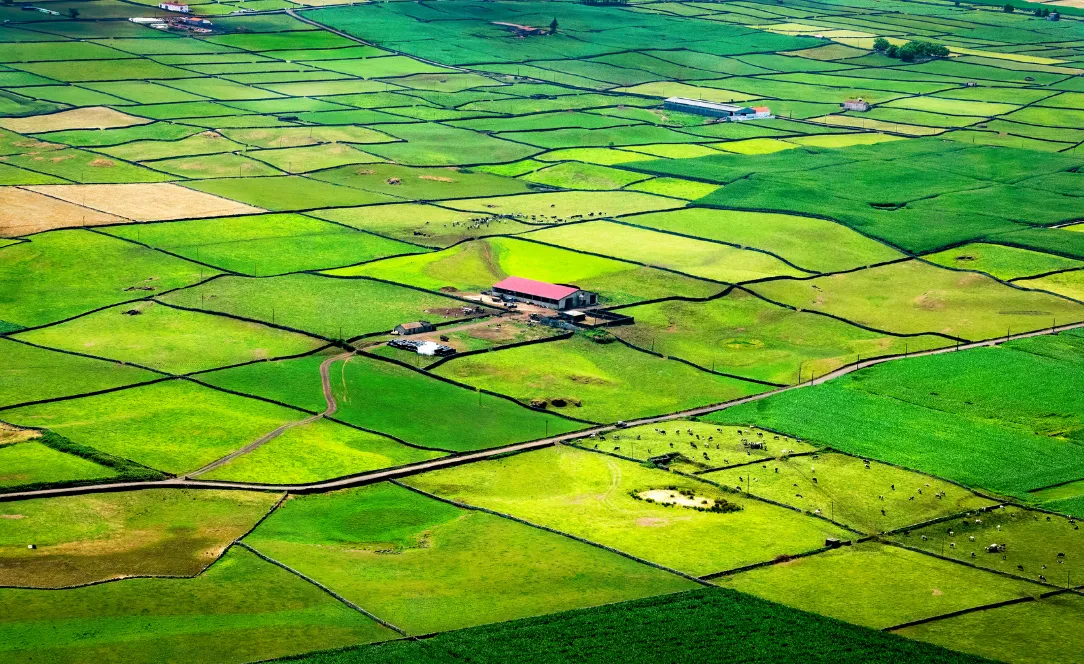 Vista aérea dos campos agrícolas da Ilha Terceira formando um padrão geométrico verde em patchwork, com pequenas casas e muros a dividir parcelas.