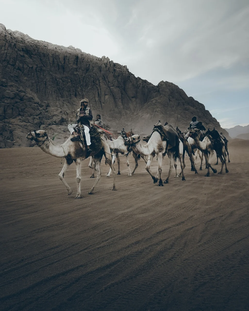 Vive a experiência beduína com um passeio de camelo pelo imponente deserto do Sinai.