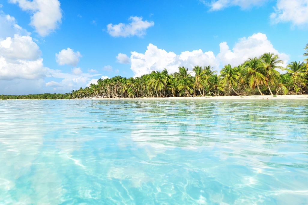 Praia paradisíaca de Bayahibe com água cristalina azul-clara, palmeiras alinhadas na areia branca e céu azul com nuvens suaves.