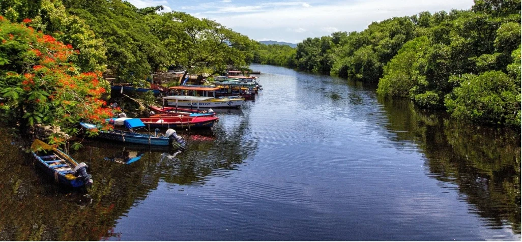 Barcos coloridos ancorados junto às margens de um rio rodeado por vegetação densa e árvores tropicais sob céu claro.